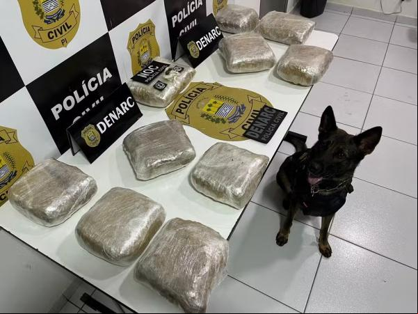 Garota de programa é presa com mais de 15 kg de