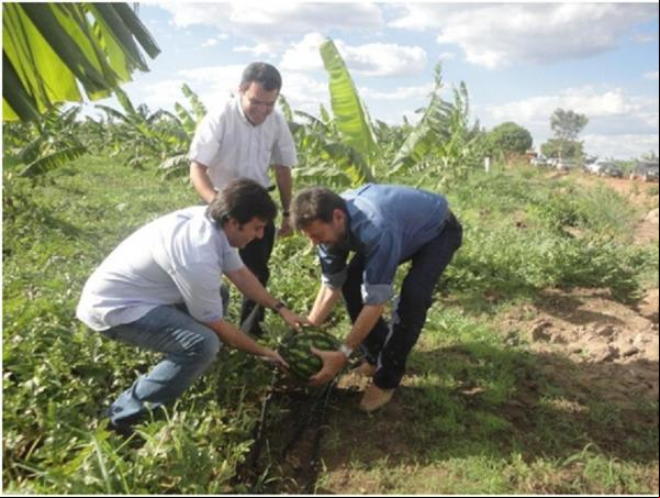 Governador Wilson Martins visita I FEAGRI em Guadalupe.(Imagem:FlorianoNews)