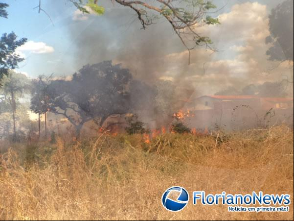 Corpo de Bombeiros registrou dois incêndios em terrenos baldios na tarde desta quinta em Floriano.(Imagem:FlorianoNews)