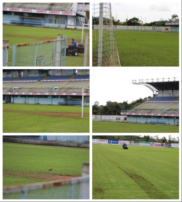 istração corre contra o tempo para recuperar campo.(Imagem:Renan Morais)