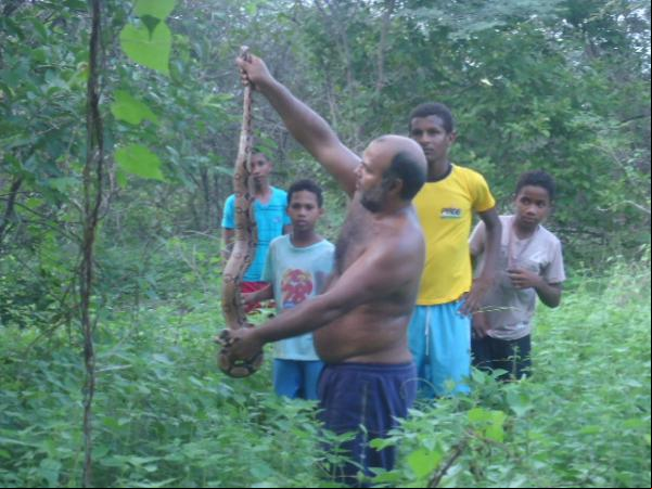 Cobra jiboia é encontrada dentro de residência em Floriano.(Imagem:FlorianoNews)