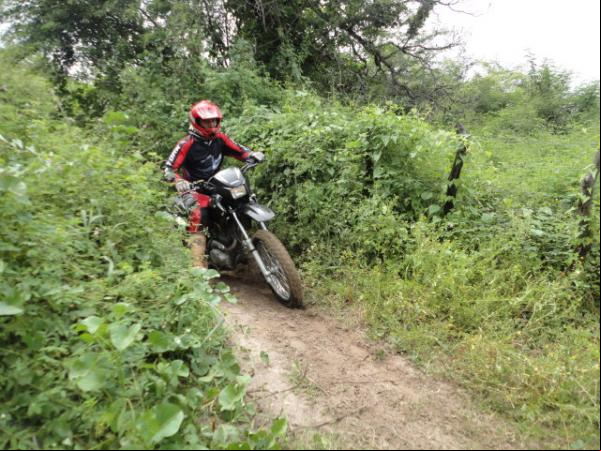 Rally Fest Pop(Imagem:Floriano News)