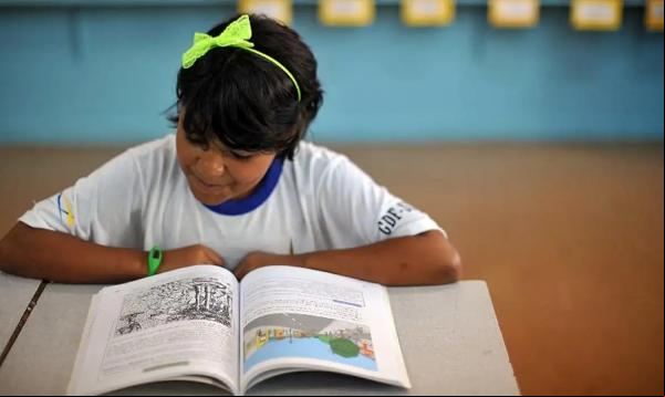 Alunos da Escola Classe da 206 Sul aprendem sobre a importância de cuidar bem dos livros didáticos, que nos anos seguintes deverão ser usados por outros estudantes.(Imagem:Marcello Casal Jr/Agência Brasil)