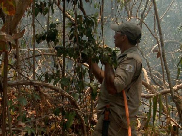 Equipes do Corpo de Bombeiros ainda trabalham no combate ao fogo.(Imagem:Reprodução/TV Clube)